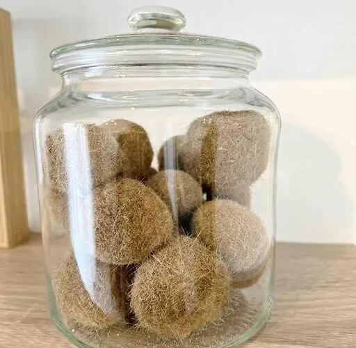 Le Diderot : 2 Prs, 10 Min Plages, Parking *